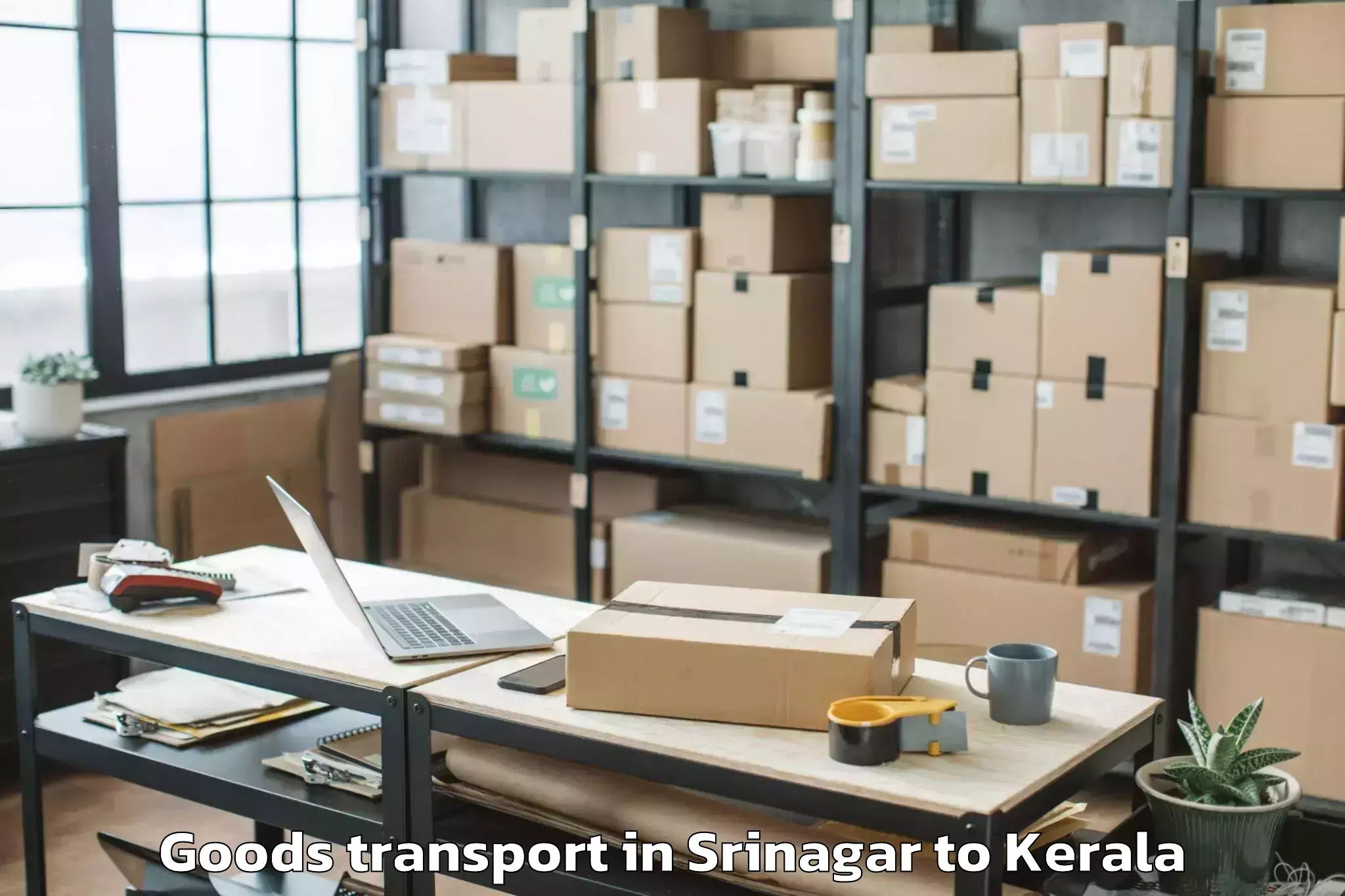 Srinagar to Palakkad Goods Transport